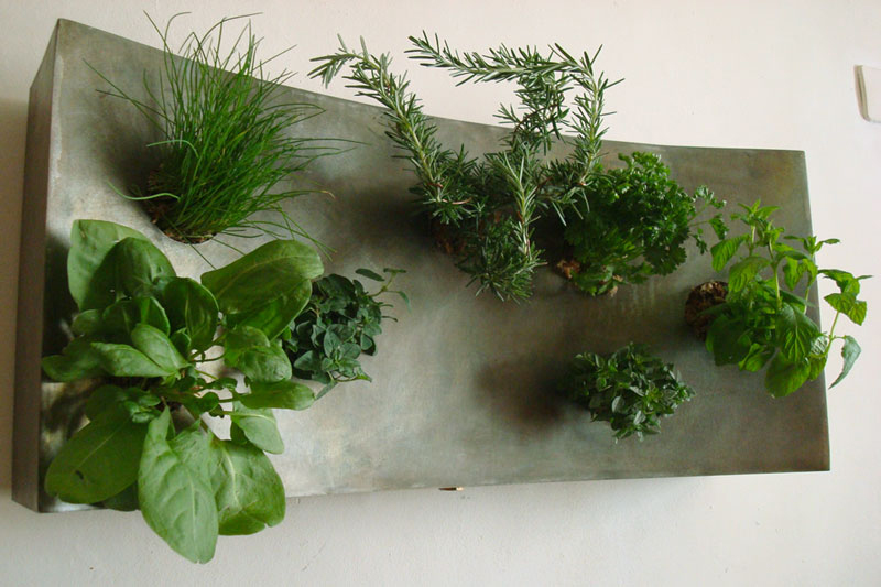 Petit tableau végétal zinc de forme concave, longueur 70cm, plantes aromatiques pour la cuisine